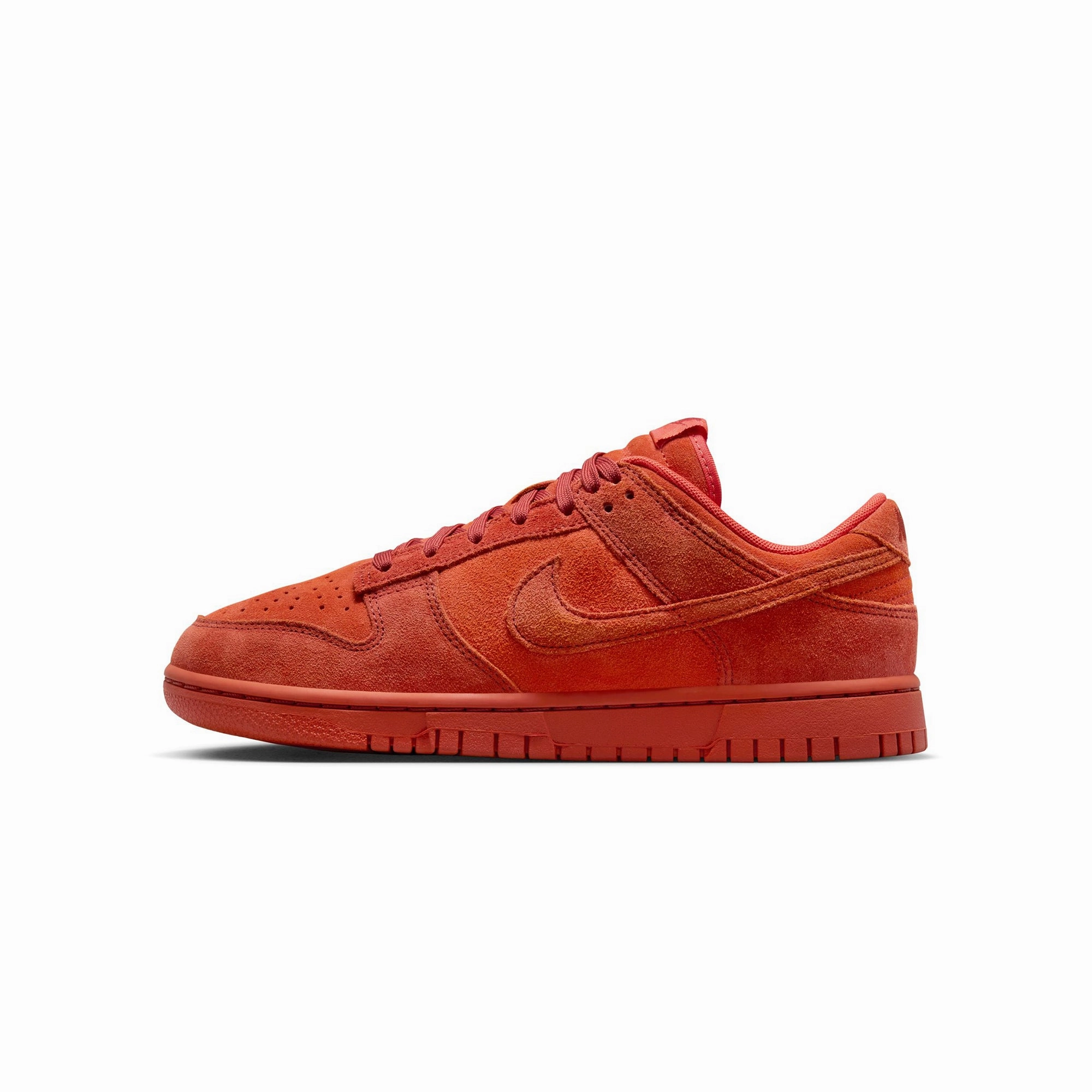 performance - enhanced shoes mountain - climate shoes Nike Womens Dunk Low SE Shoes