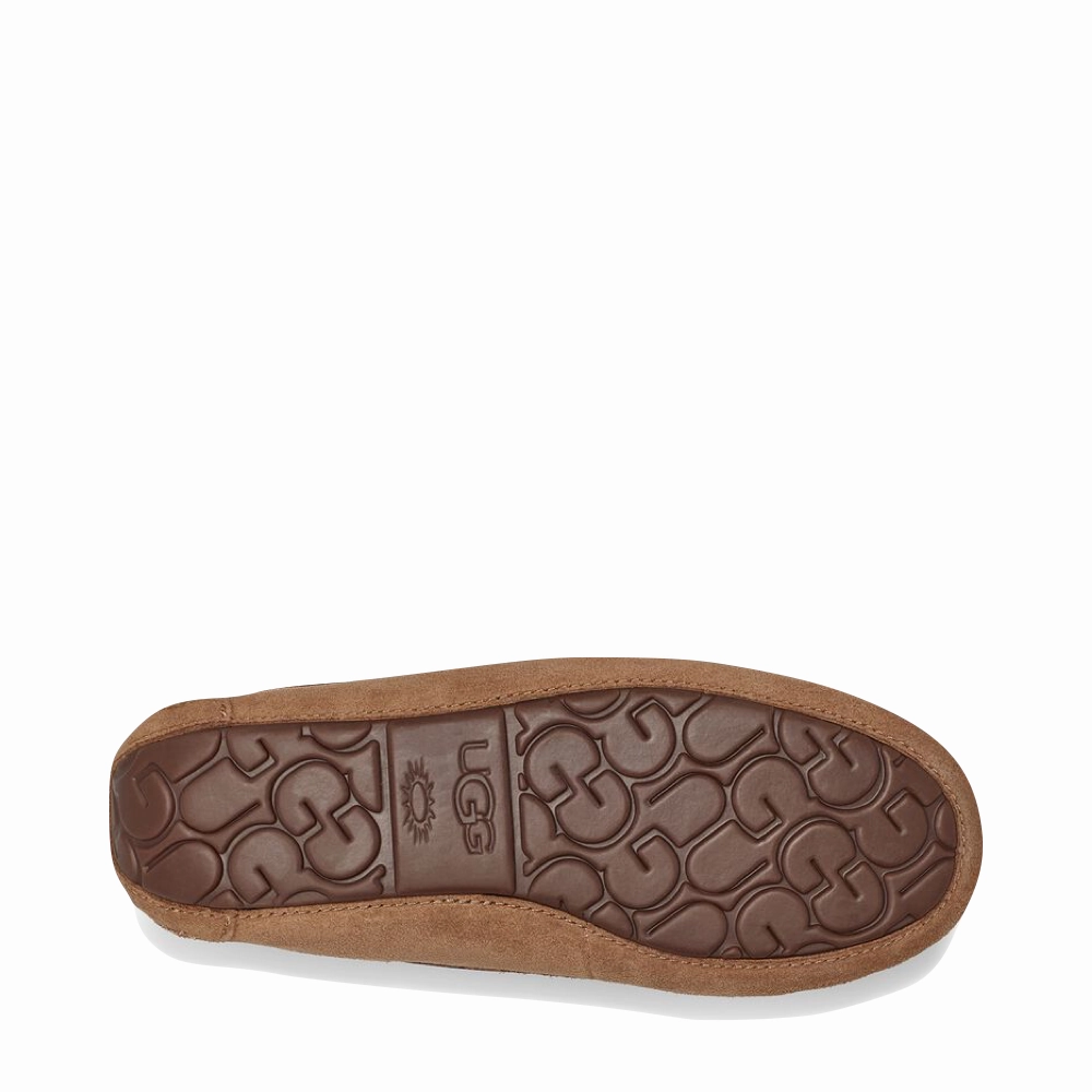 High Efficiency UGG Women's Dakota Moc Sheepskin Slipper in Chestnut