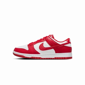 Nike Womens Dunk Low Shoes Stripe